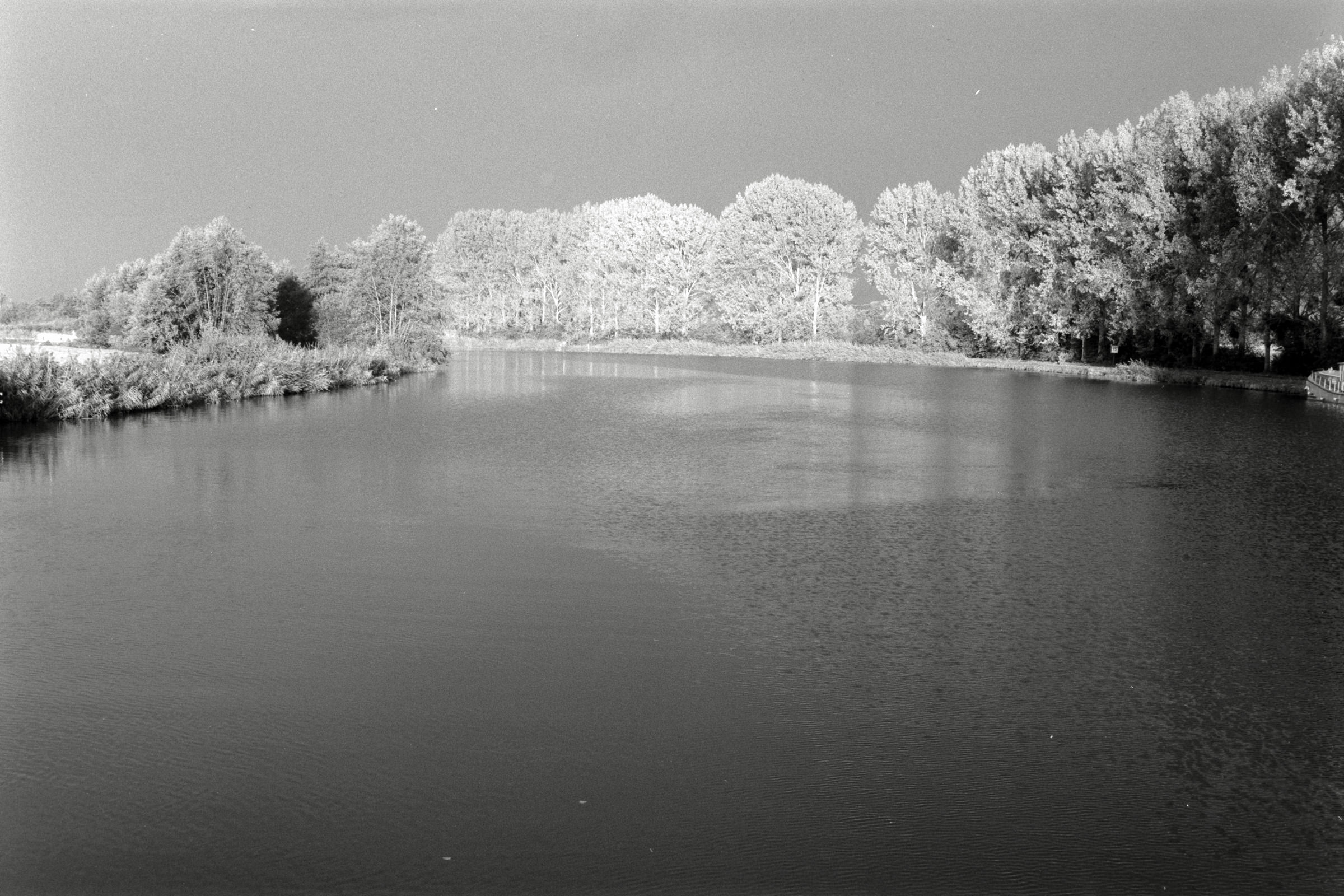 AHP F1990 09 004 sc250506 img26 NLP